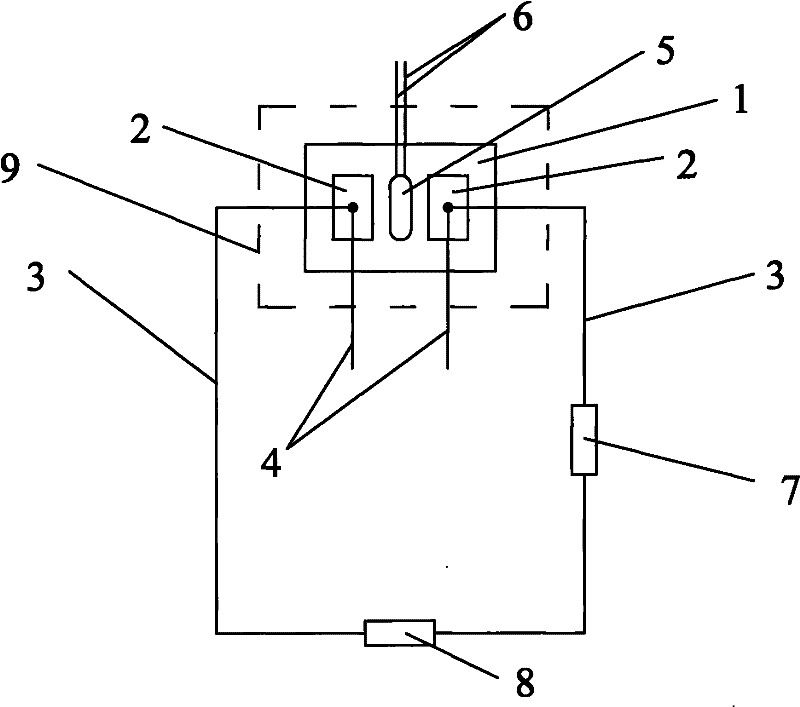 Freezing temperature sensor and measuring method thereof