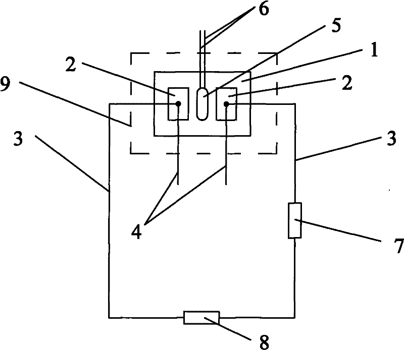 Freezing temperature sensor and measuring method thereof