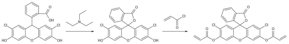 Fluorescent probe for rapidly detecting hydrazine compounds as well as synthesis and application of fluorescent probe