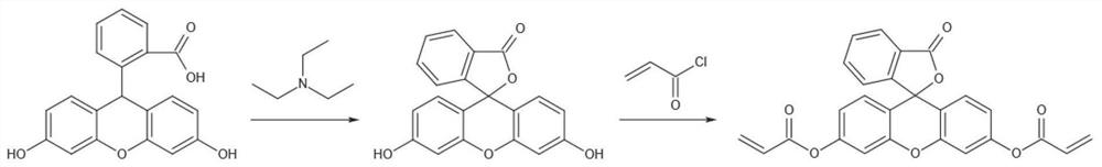 Fluorescent probe for rapidly detecting hydrazine compounds as well as synthesis and application of fluorescent probe