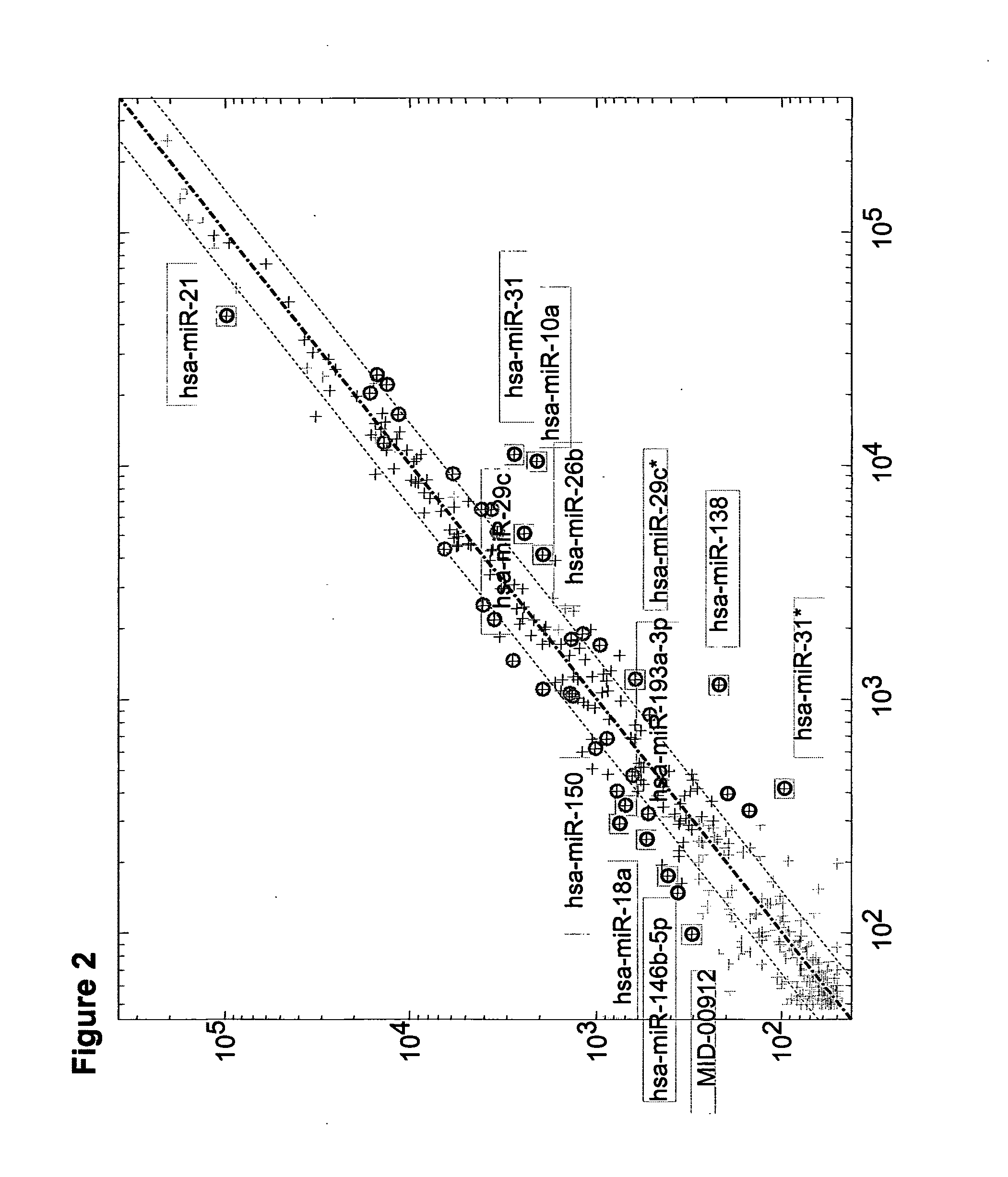 Compositions and methods for determining the prognosis of bladder urothelial cancer