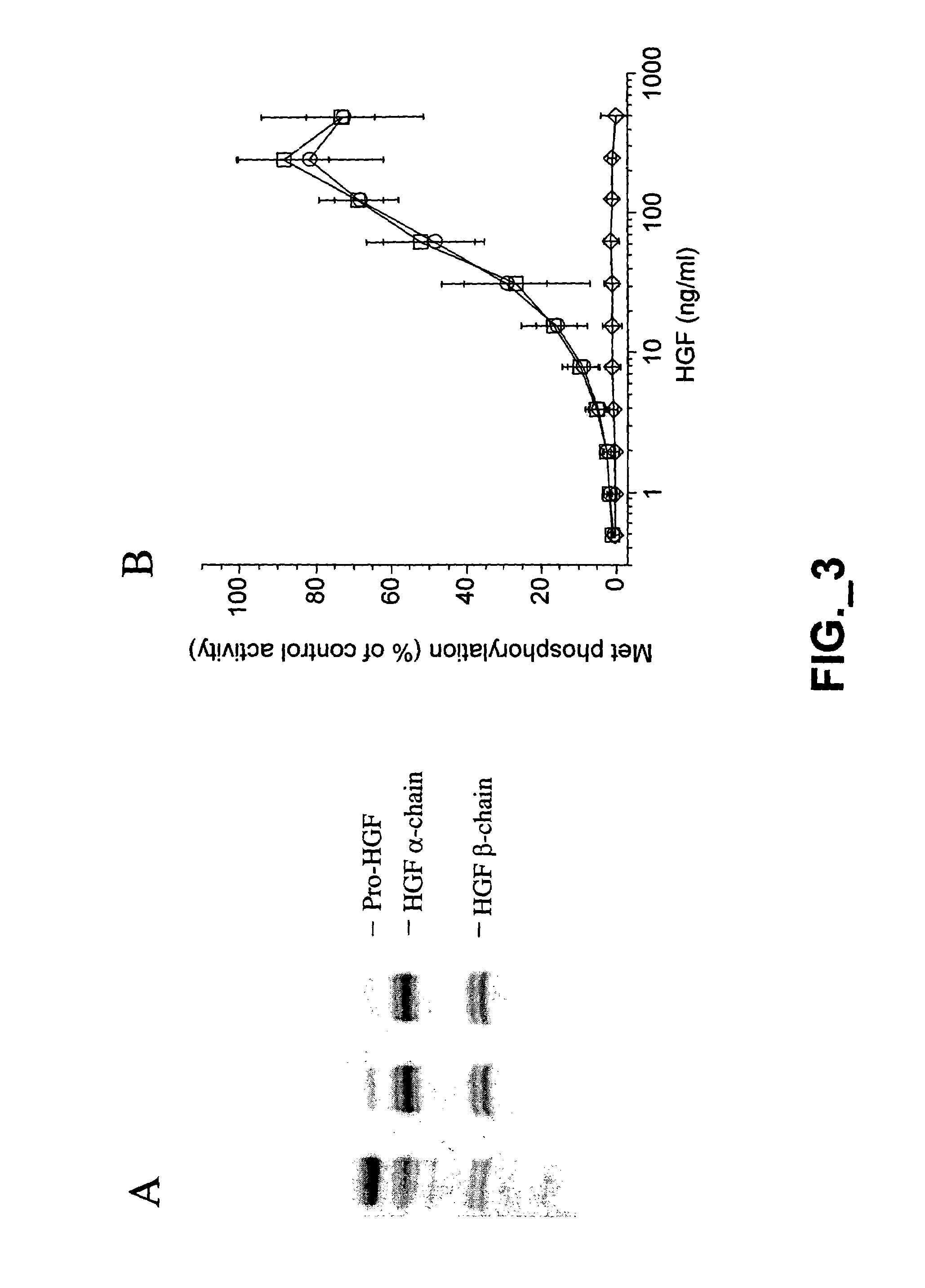 Methods and compositions for modulating hepatocyte growth factor activation