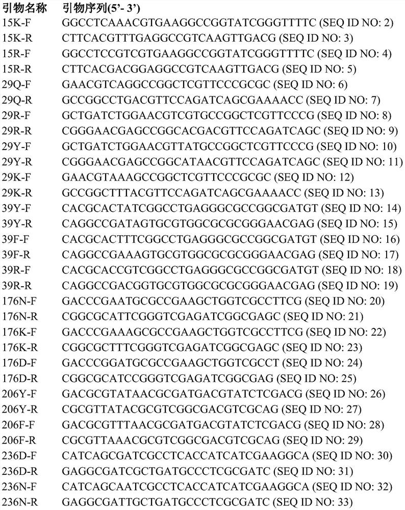 5-aminolevulinic acid synthetase mutant as well as host cell and application thereof