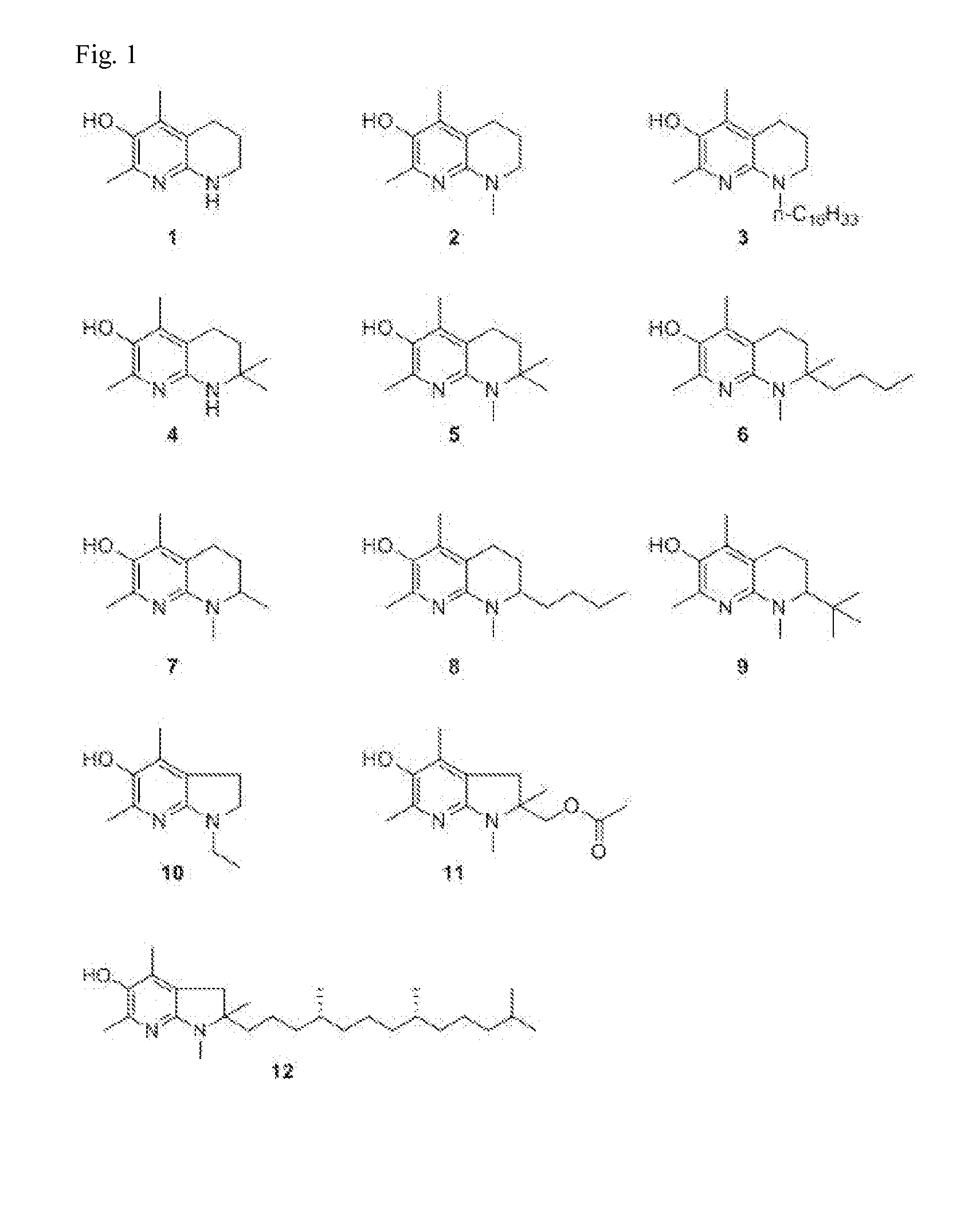 Pharmaceutical composition comprising bicyclic pyridinol derivatives for preventing or treating diseases caused by angiogenesis