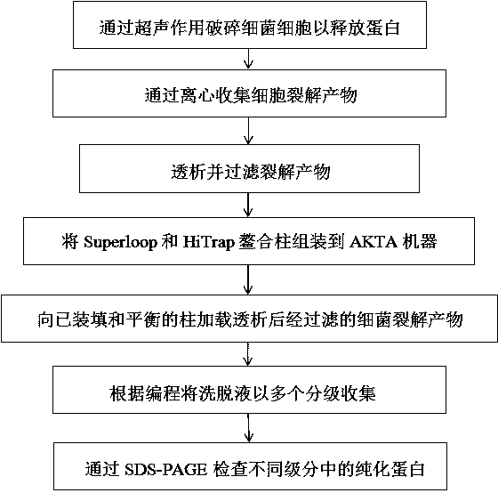 Application of a set of tumor-associated antigens in early screening kit for esophageal cancer and kit thereof