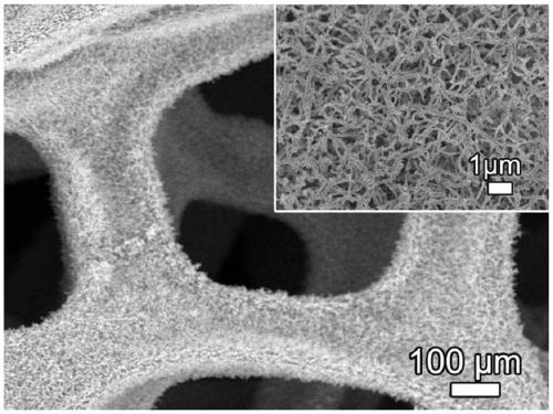 Symmetrical lithium-oxygen battery