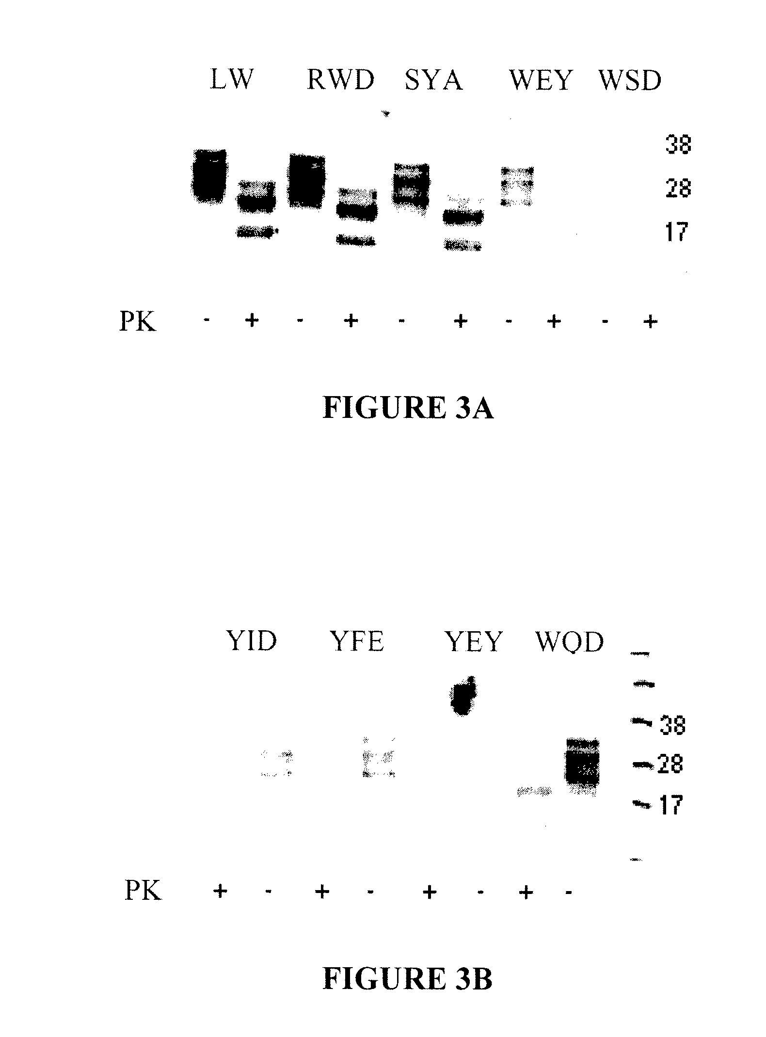 Prion protein ligands and methods of use