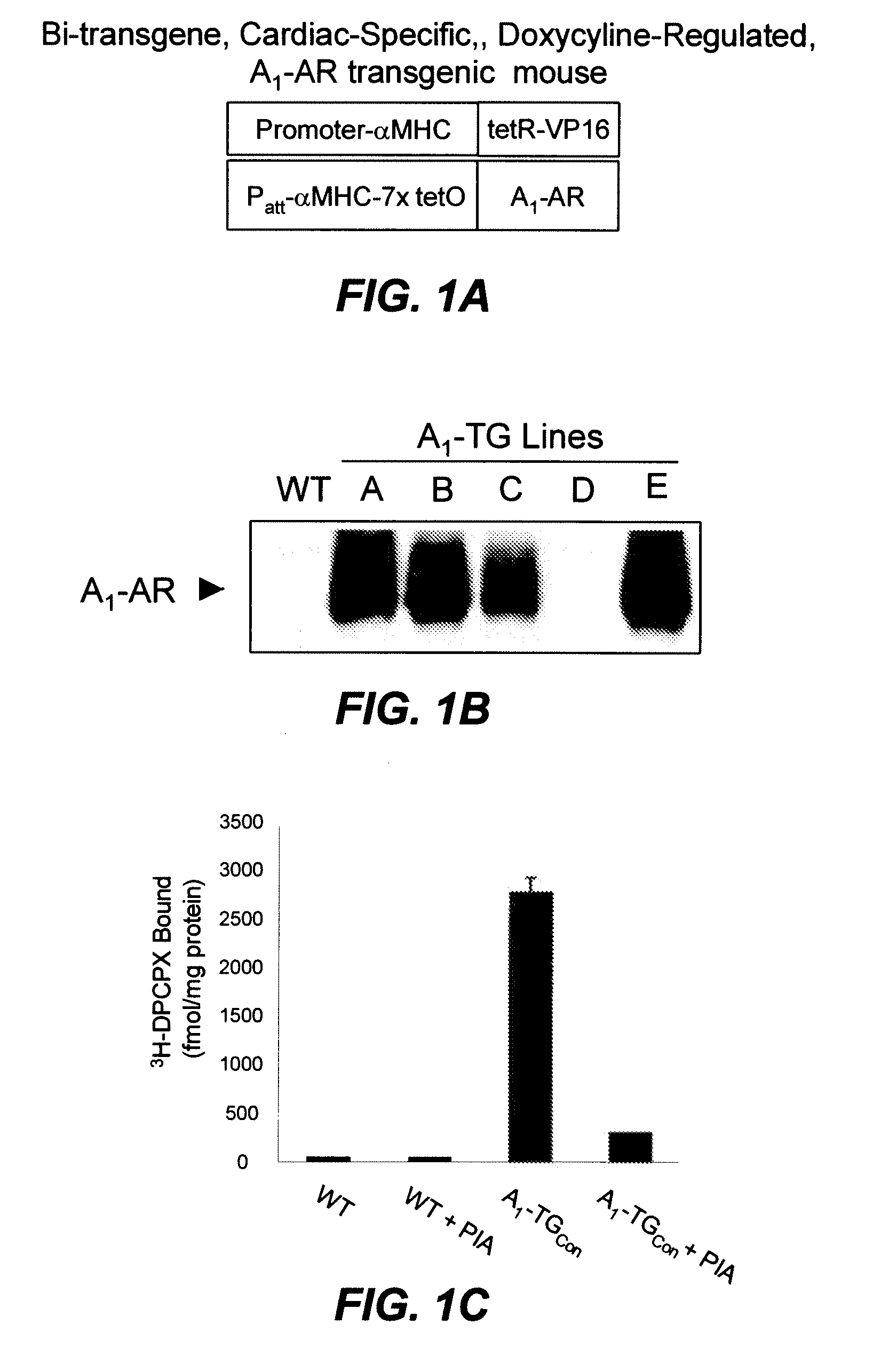 Compositions and methods for the treatment and prevention of cardiovascular diseases