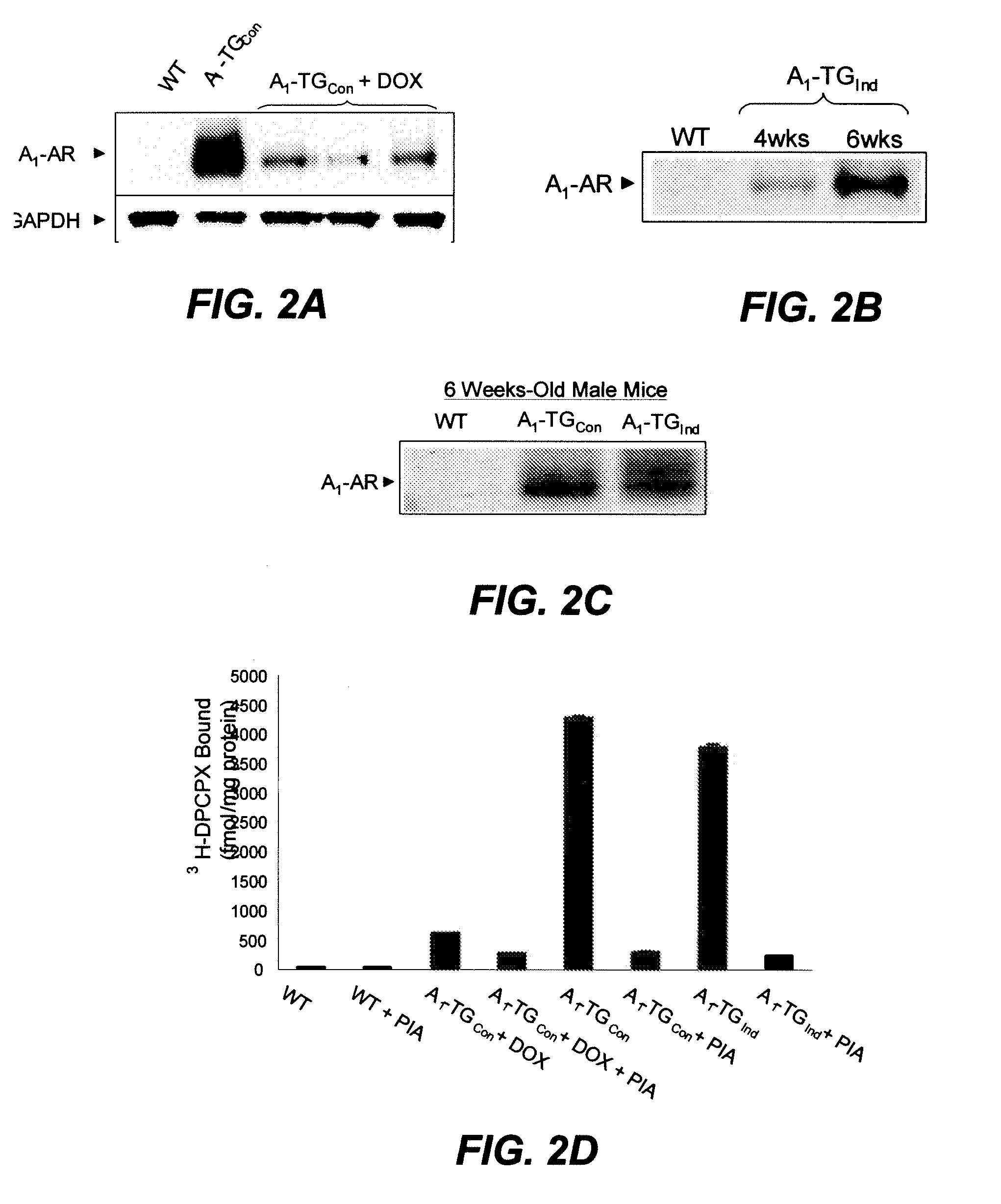 Compositions and methods for the treatment and prevention of cardiovascular diseases