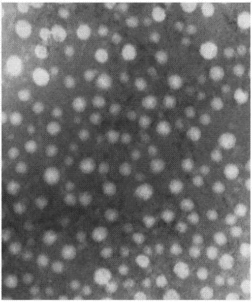 Taxol liposome preparation with active tumor targeting function as well as preparation method and application thereof