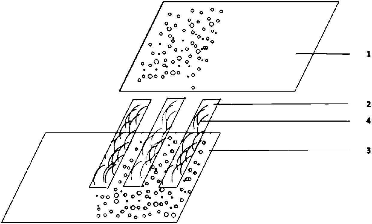 Seamless sutured structure with antibacterial function