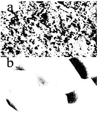 A kind of characterization method of lanthanum silicate nanopowder