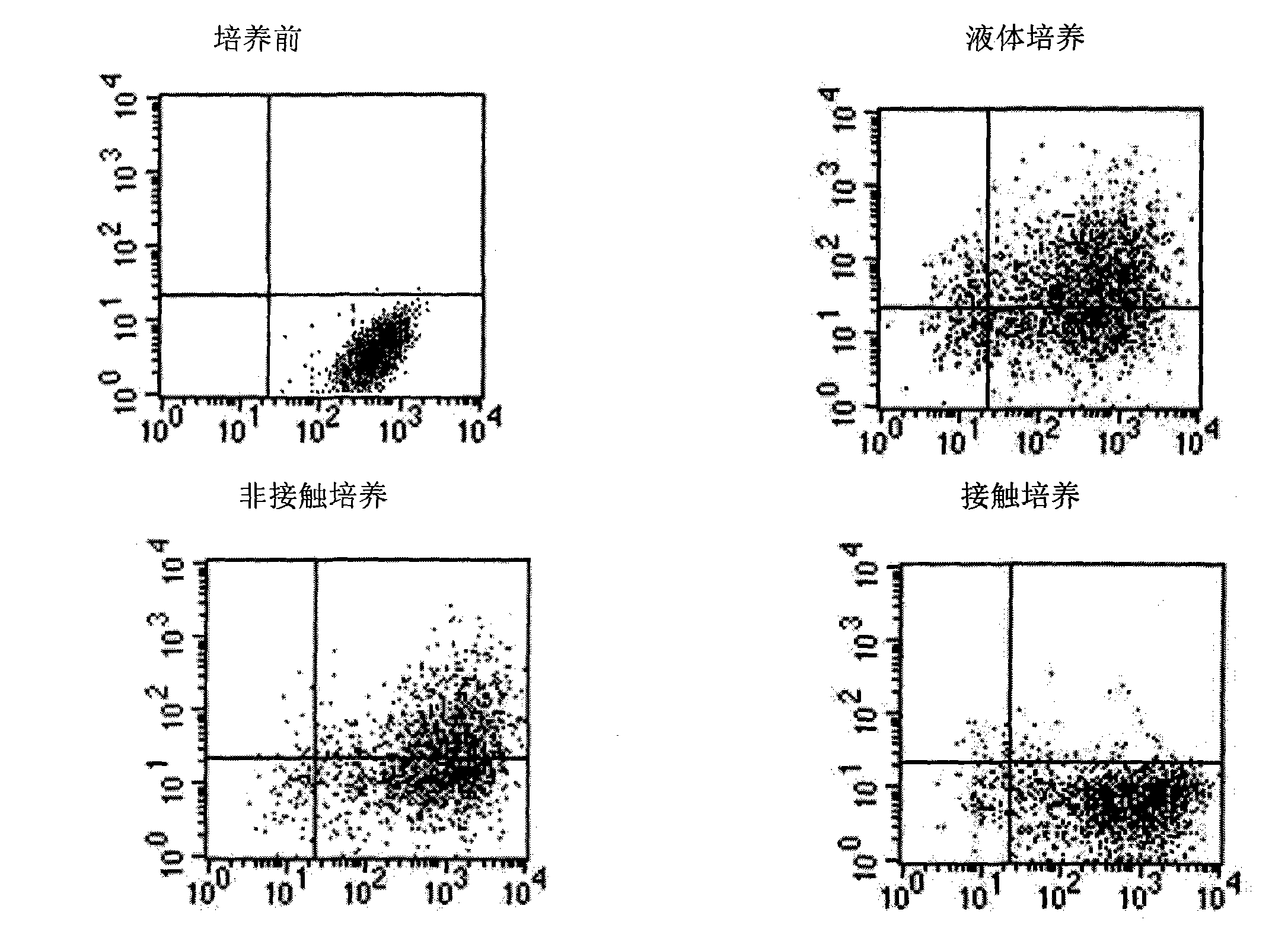 Method for in vitro amplification of hemopoietic stem cells and precursor cells