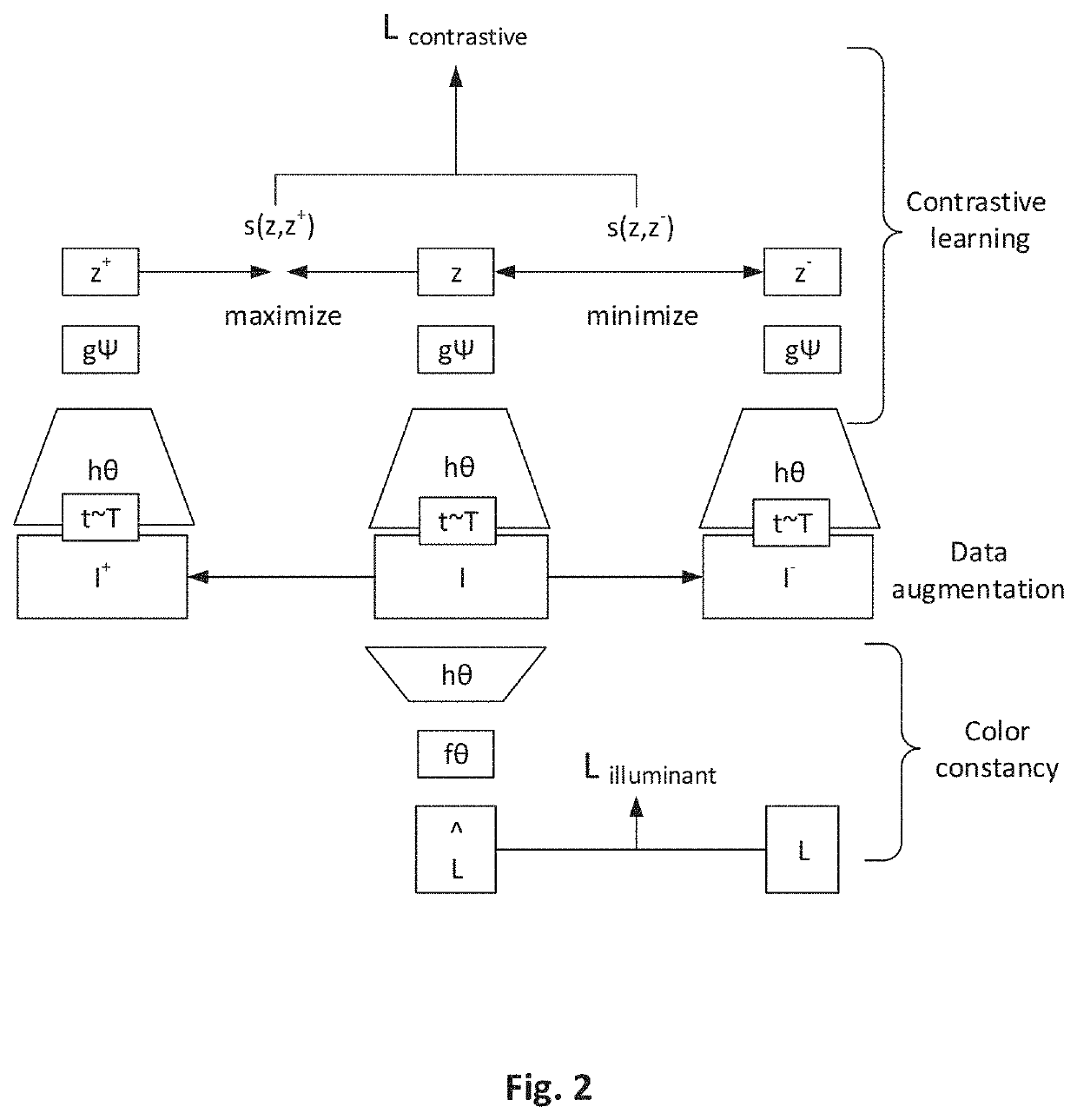Methods and Apparatuses of Contrastive Learning for Color Constancy
