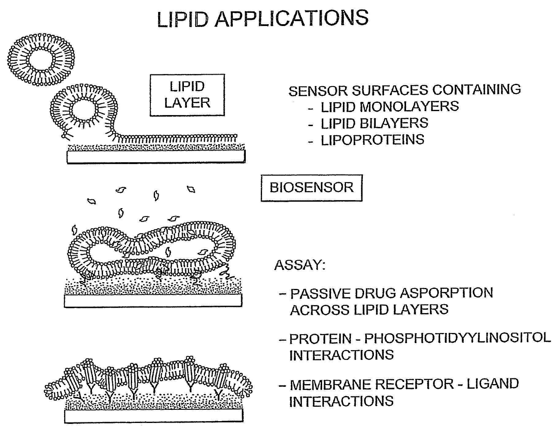 Proteolipid Membrane and Lipid Membrane Biosensor