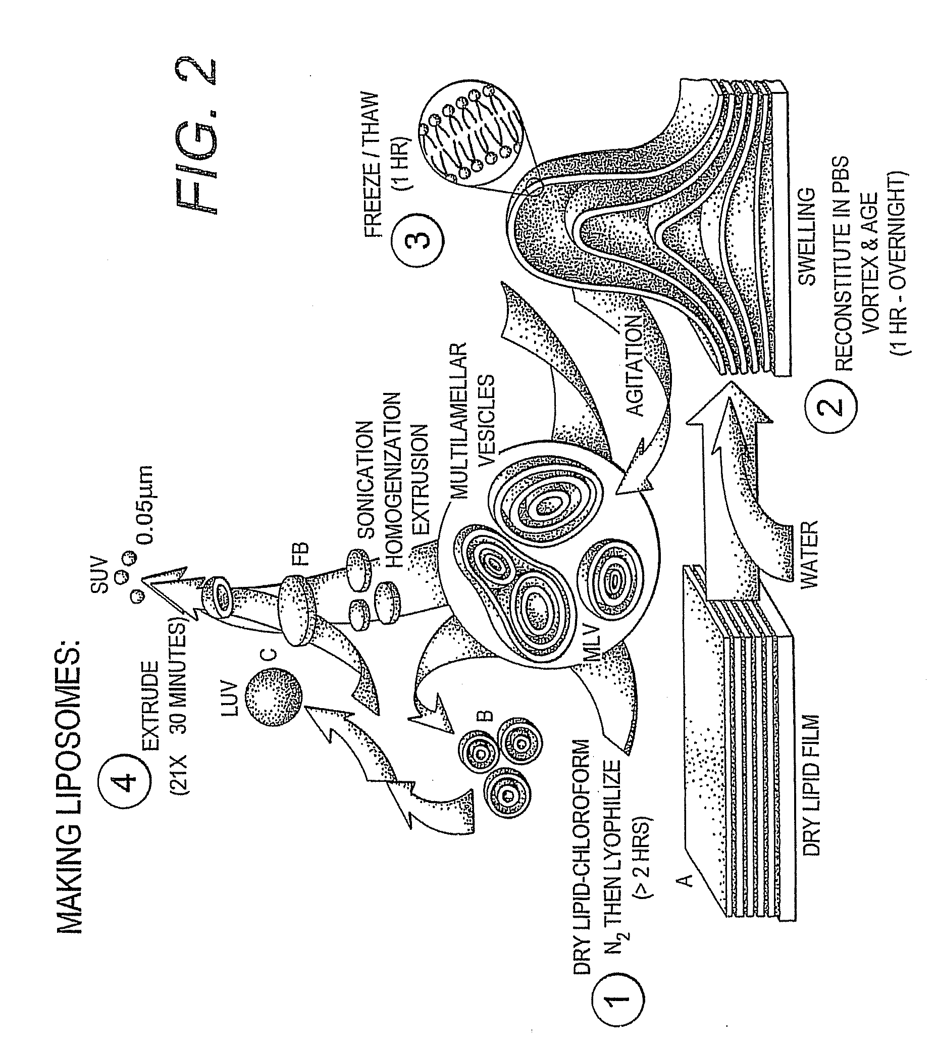 Proteolipid Membrane and Lipid Membrane Biosensor