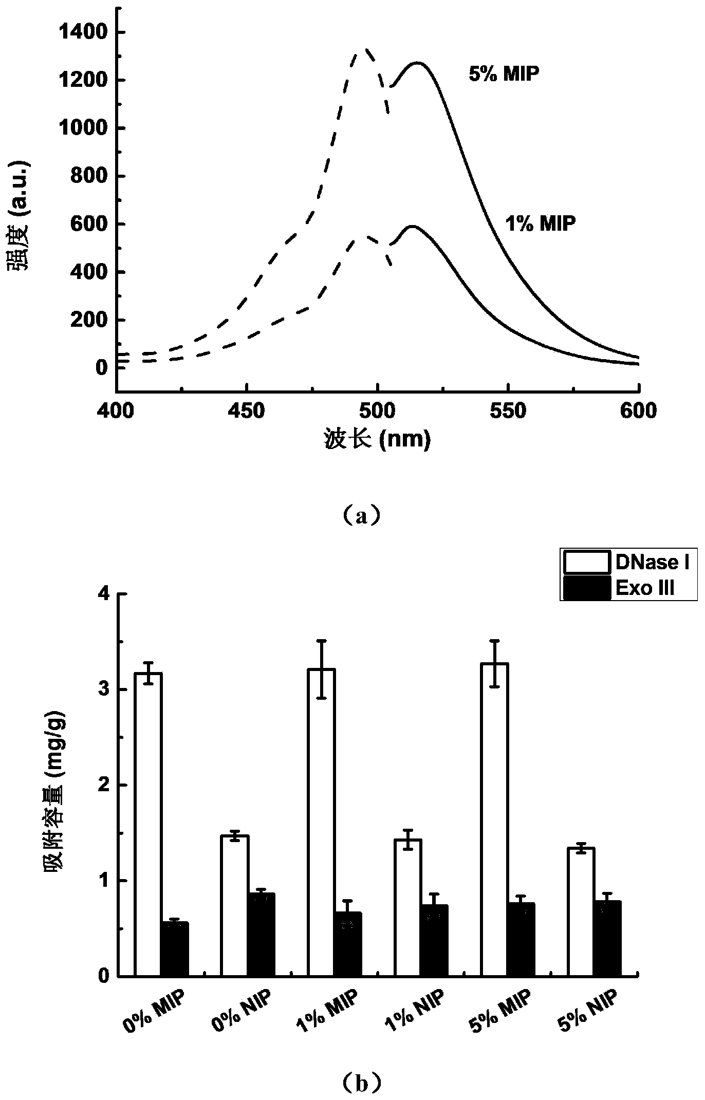 Magnetic molecularly imprinted nano-particle as well as preparation method and application thereof