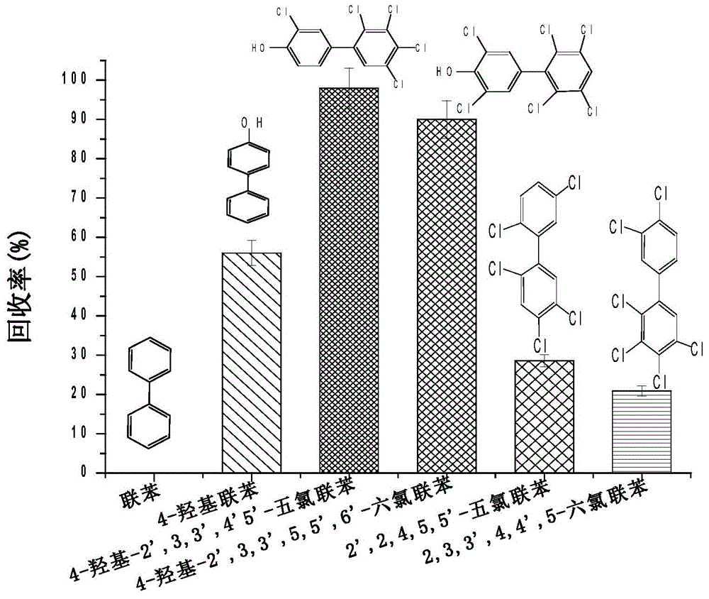 Hydrophilic hydroxyl polychlorinated biphenyl molecularly imprinted solid-phase extraction filler as well as preparation method and application thereof