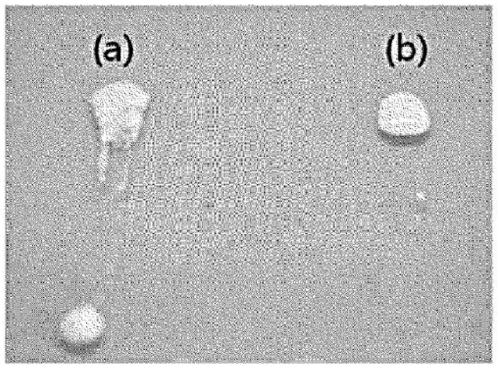 Surface-modified amphiphilic anisotropic powder, emulsion composition containing the same and preparation method thereof