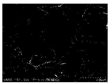 Preparation method of super-hydrophobic bismuth coating