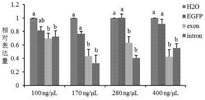 Method for utilizing PCR product to restrain insect gene expression