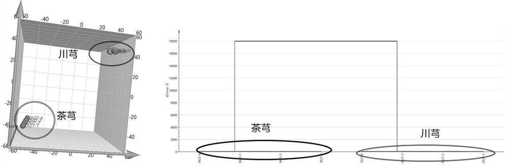 A method for rapid identification of Chaxiong tea based on electronic nose