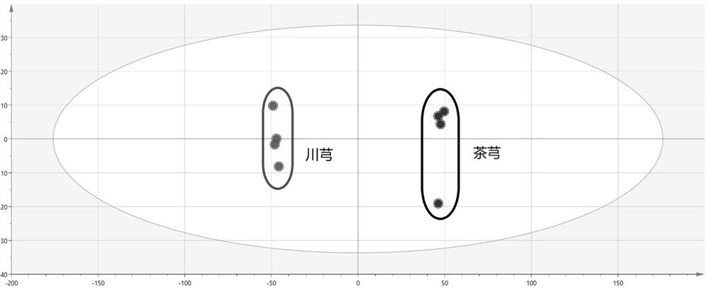 A method for rapid identification of Chaxiong tea based on electronic nose