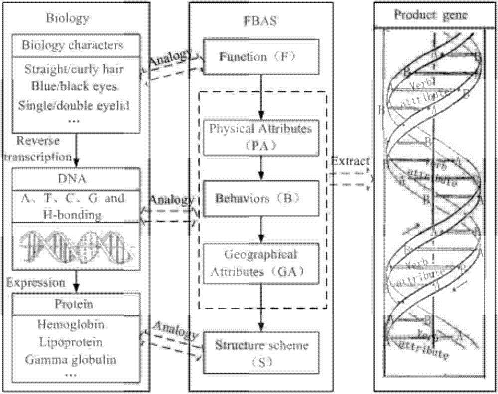 FBAS function model for product conceptual design and product conceptual design method based on function model and gene expression