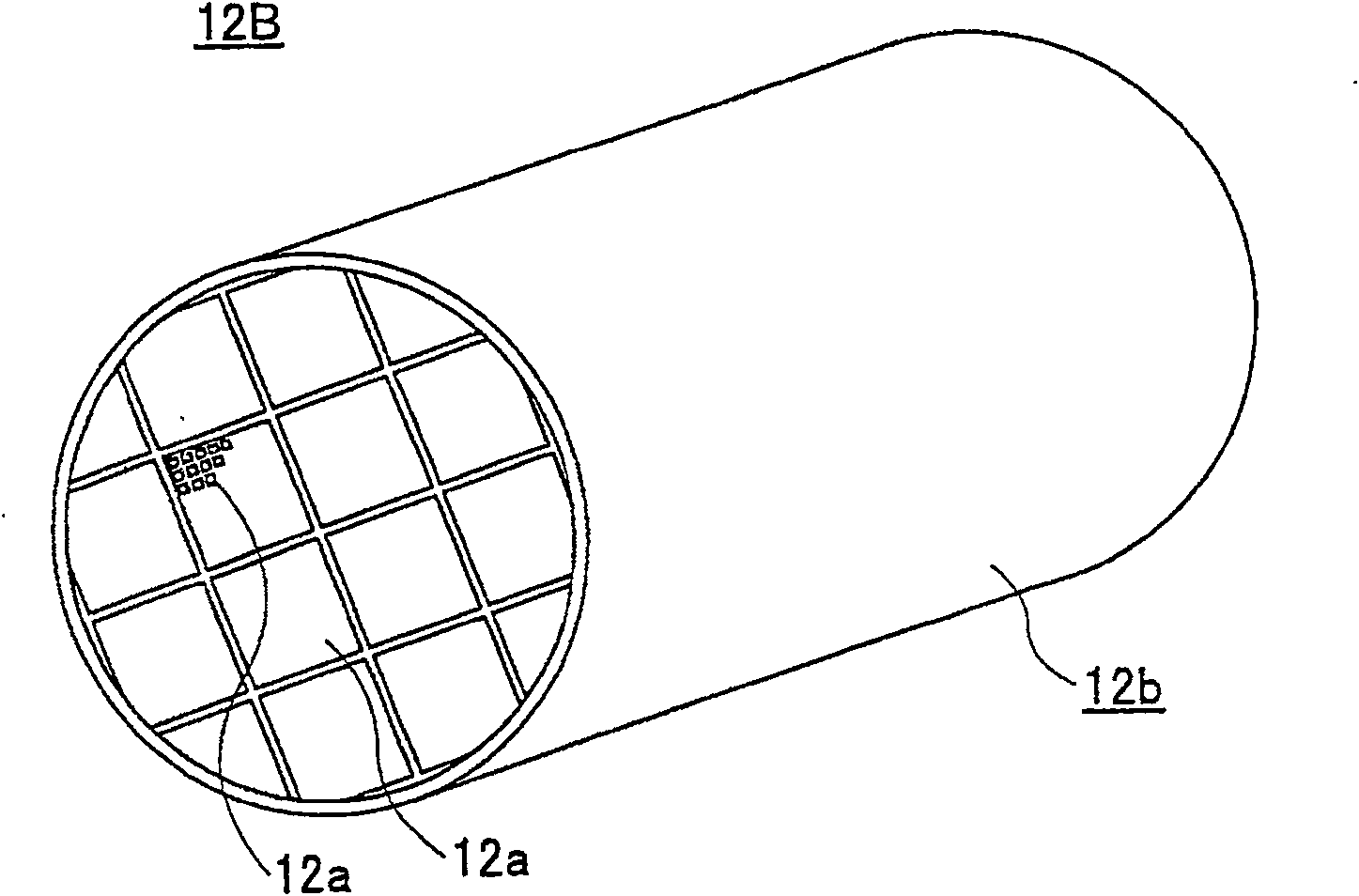 Exhaust gas purifying apparatus