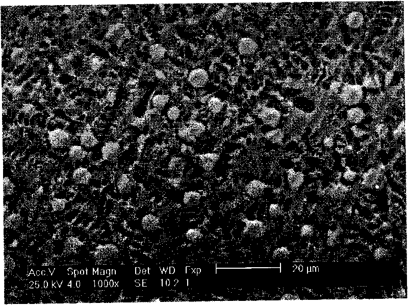 Magnesium-based spherical quasicrystal master alloy and preparation method thereof