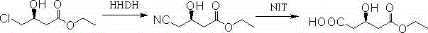 Continuous preparation method of statin pharmaceutical intermediate namely (R)-3-hydroxyethyl glutarate