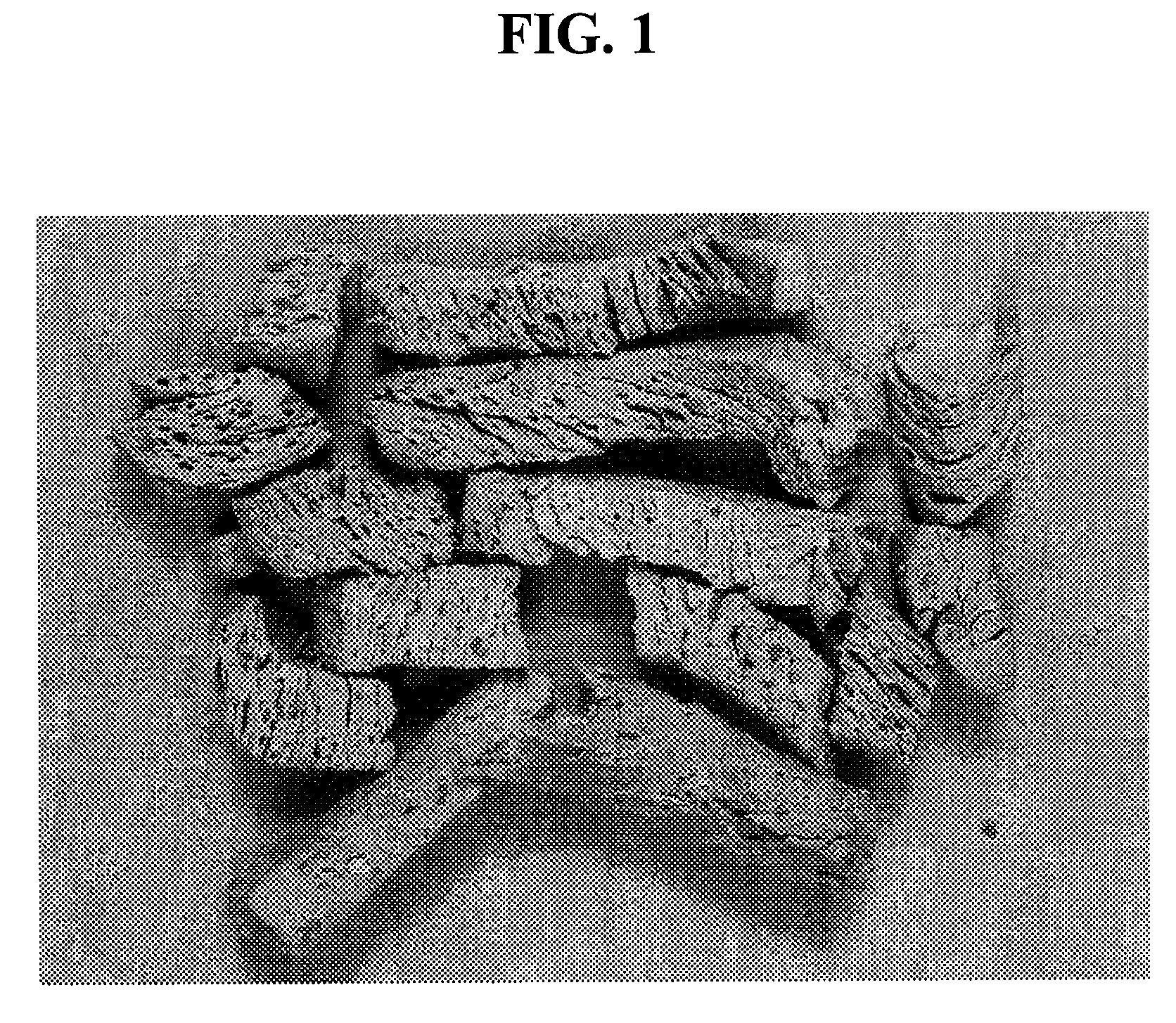 Meat emulsion products and methods of making same