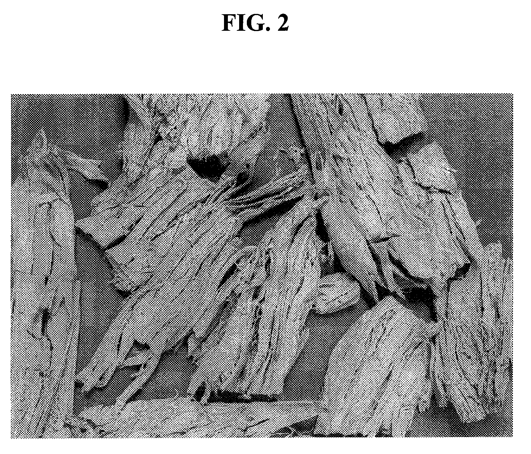 Meat emulsion products and methods of making same