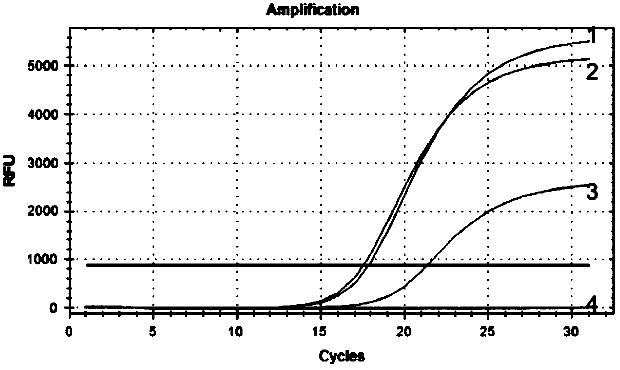 A diagnostic kit and method for detecting mutation of exon 13 of human c-kit gene