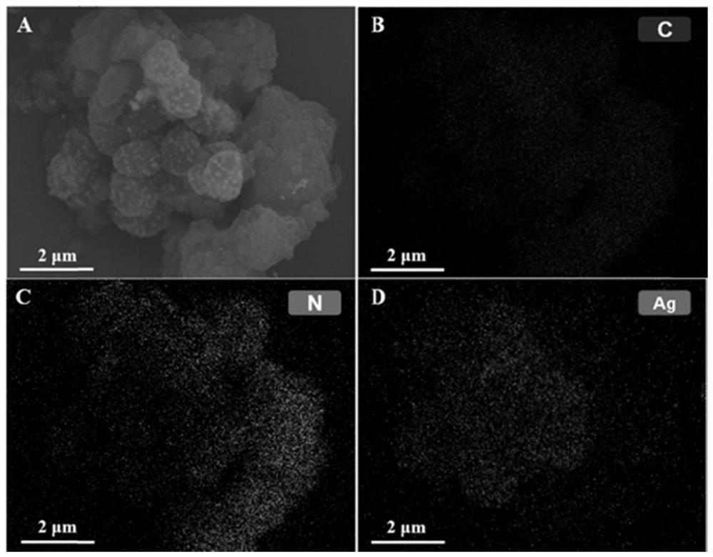 Biological photoelectrochemical reagent for synchronously realizing plastic degradation and heavy metal reduction, and preparation method thereof