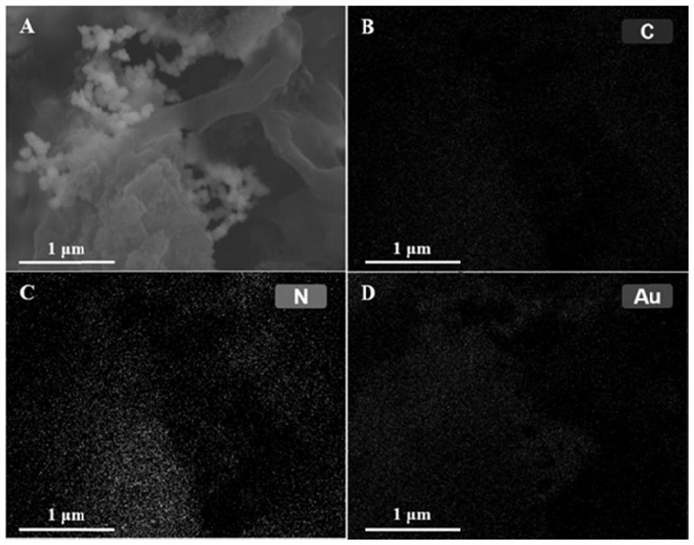 Biological photoelectrochemical reagent for synchronously realizing plastic degradation and heavy metal reduction, and preparation method thereof