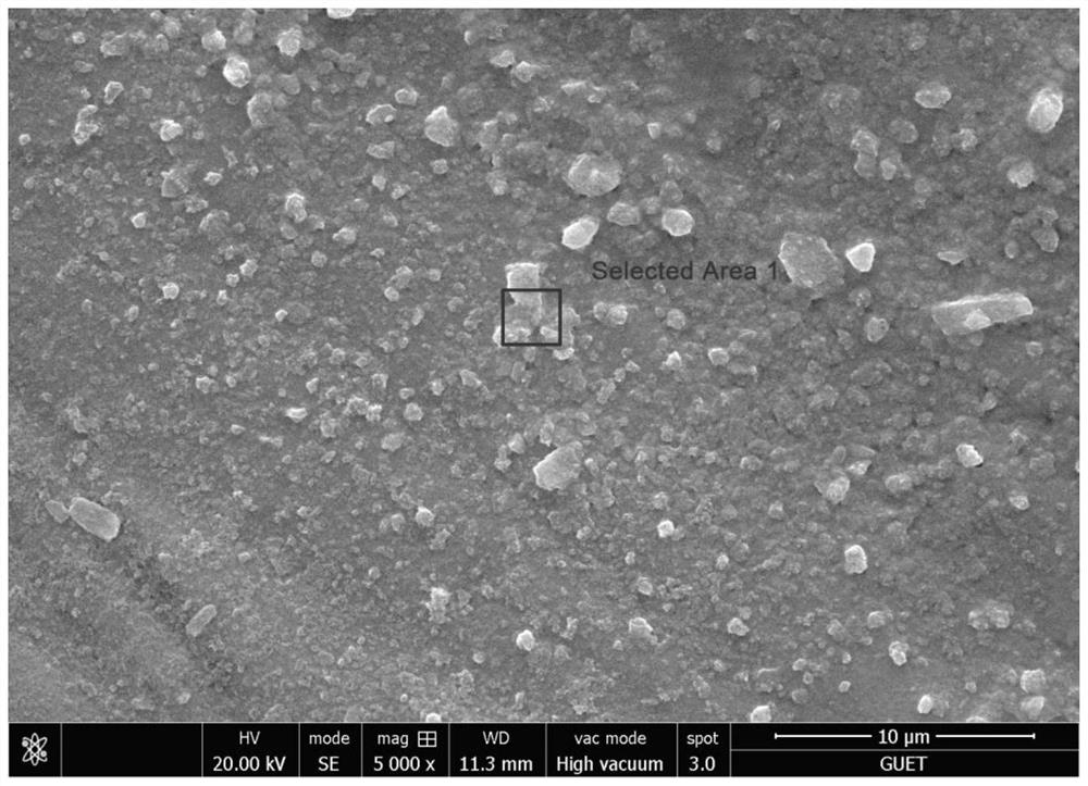 Chewing gum for promoting in-situ regeneration repair of soft and hard tissues of oral cavity and preparation method of chewing gum