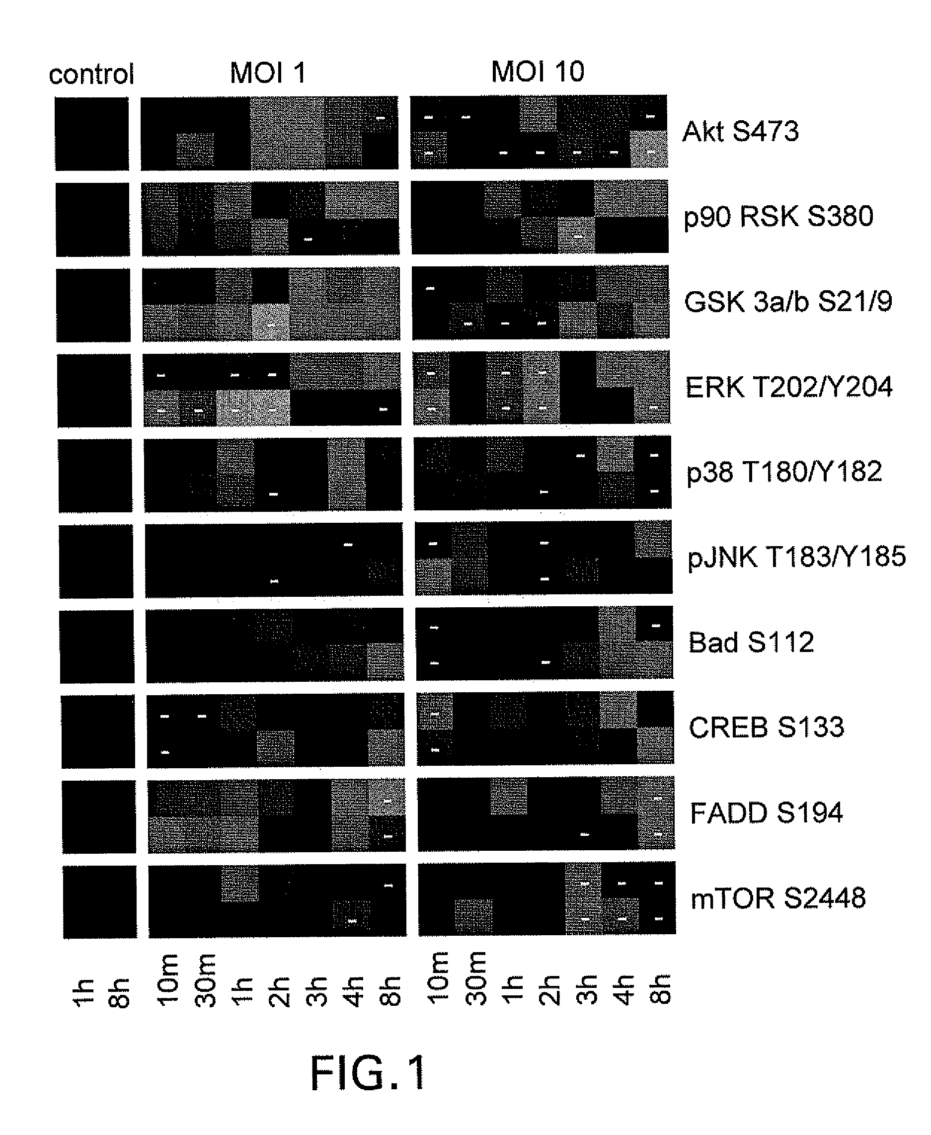 Post-exposure prophylaxis and treatment of infections