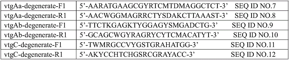 Mudskipper's multi-type vitellogenin Vtg gene full-length sequence and cloning method thereof