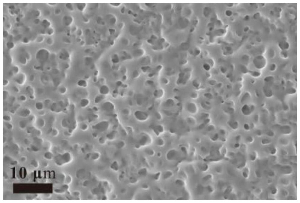 Method for preparing diluted magnetic polymer dispersed liquid crystal through photo-initiated free radical tandem reaction and product thereof