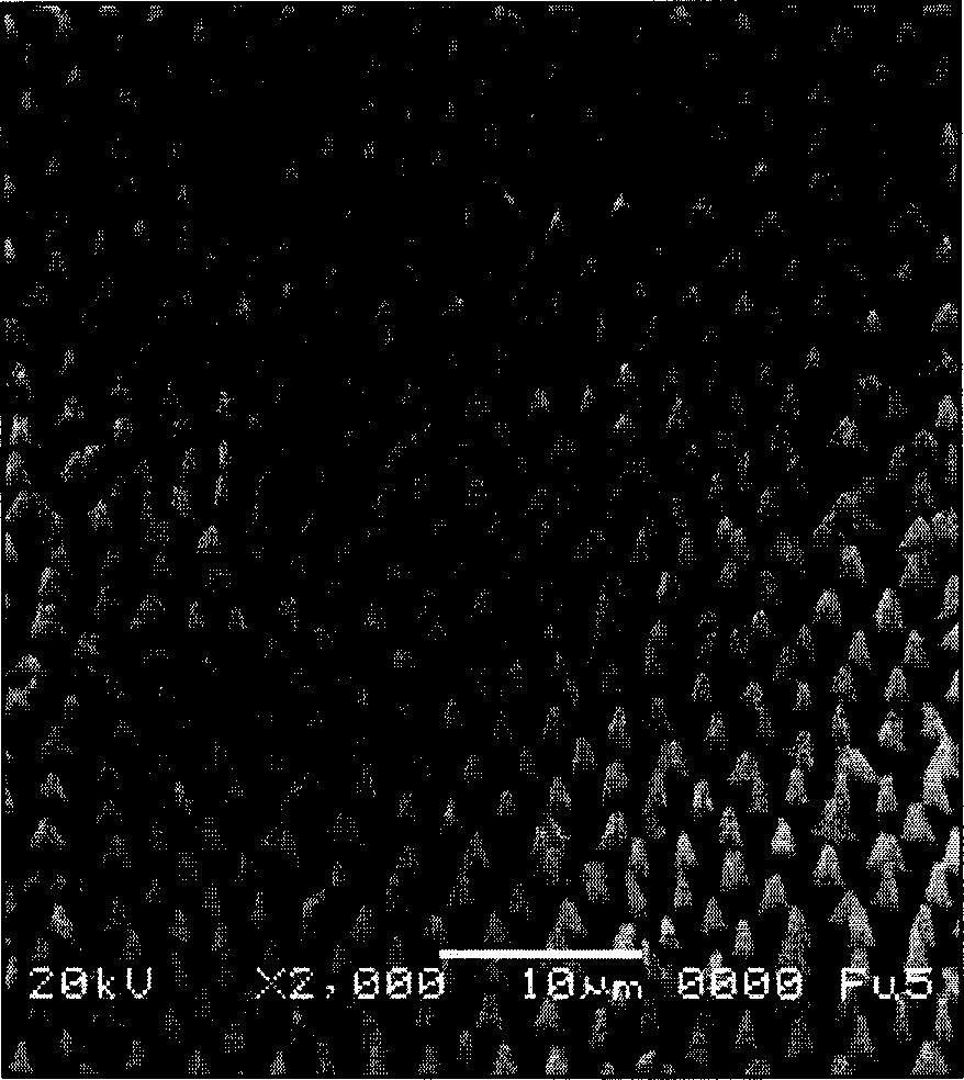 Fe3O4/Si nanometer porous array composite material preparation method