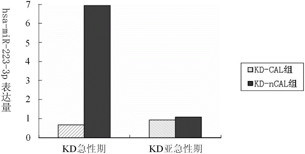 Nucleic acid label and kit for auxiliary diagnosis of Kawasaki disease