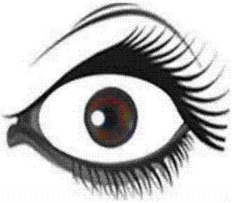 Complete extraction method of true color eye image graph white eye area