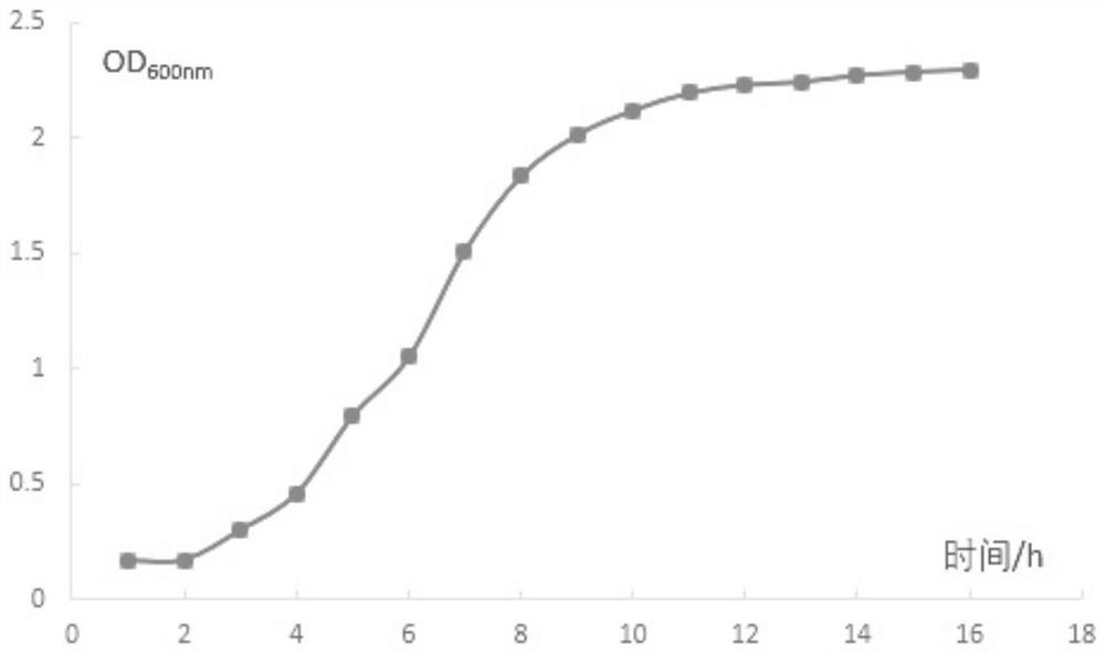 A kind of lactobacillus plantarum and its application in fruit enzyme products