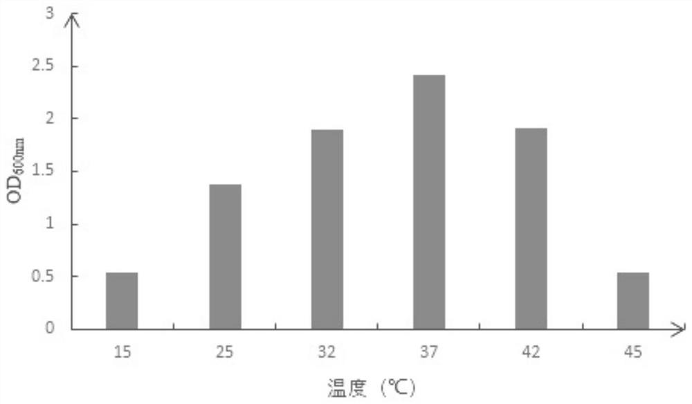 A kind of lactobacillus plantarum and its application in fruit enzyme products