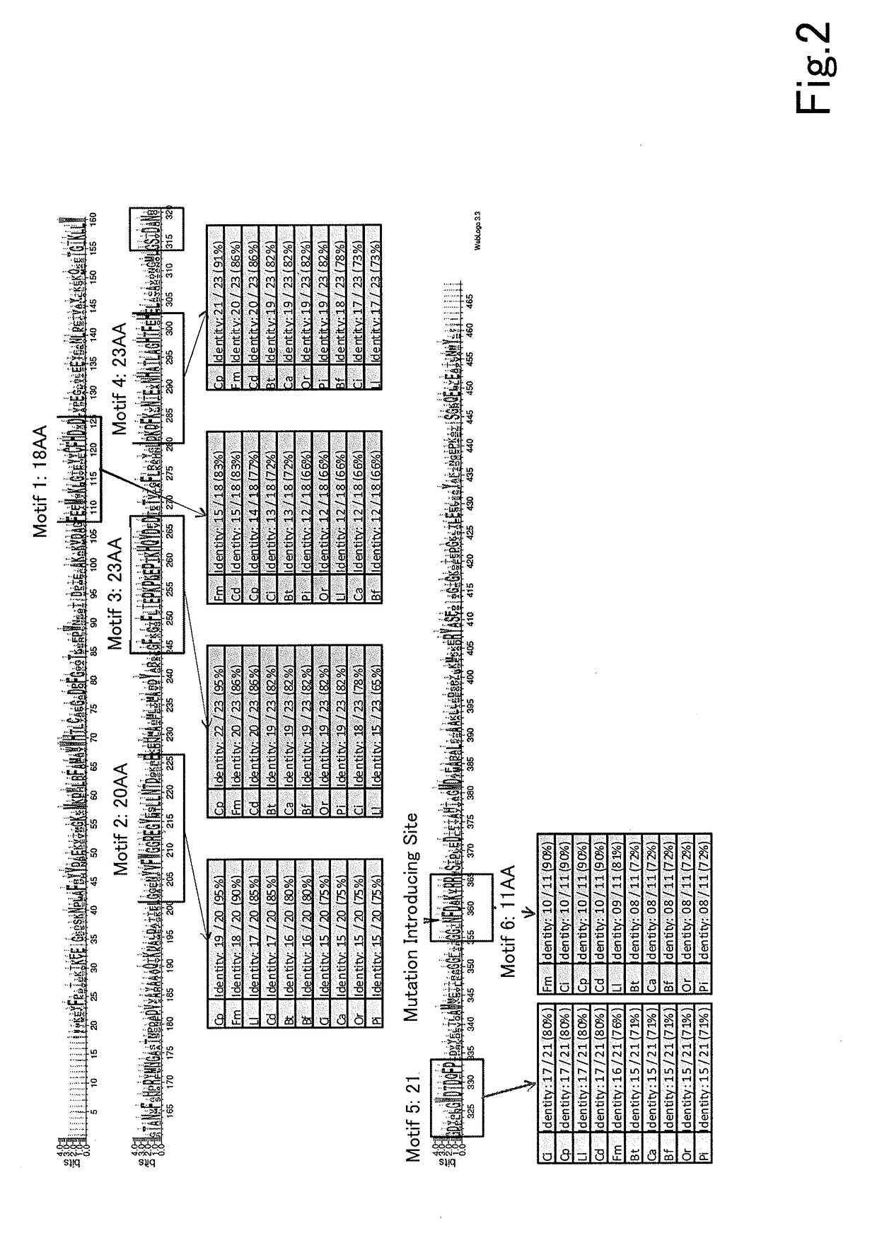 Protein having xylose isomerase activity and use of same