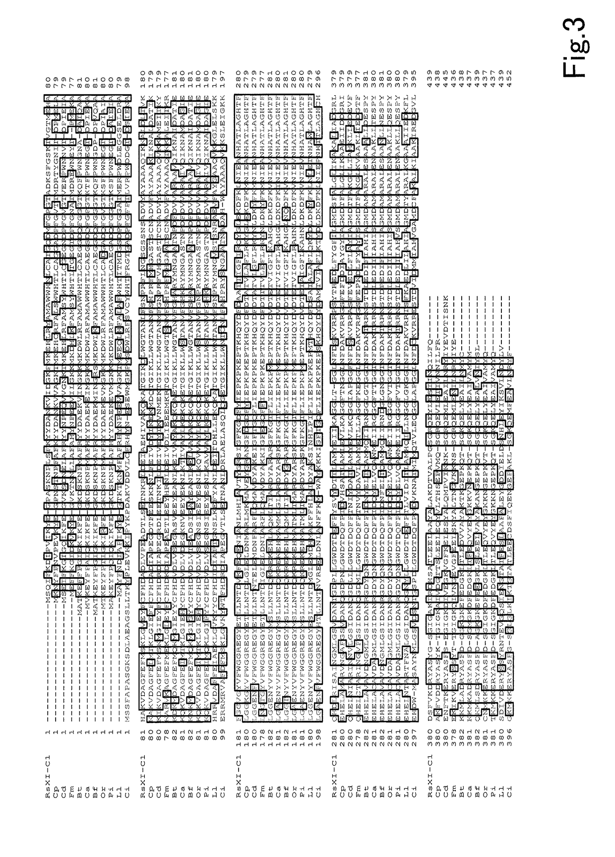 Protein having xylose isomerase activity and use of same