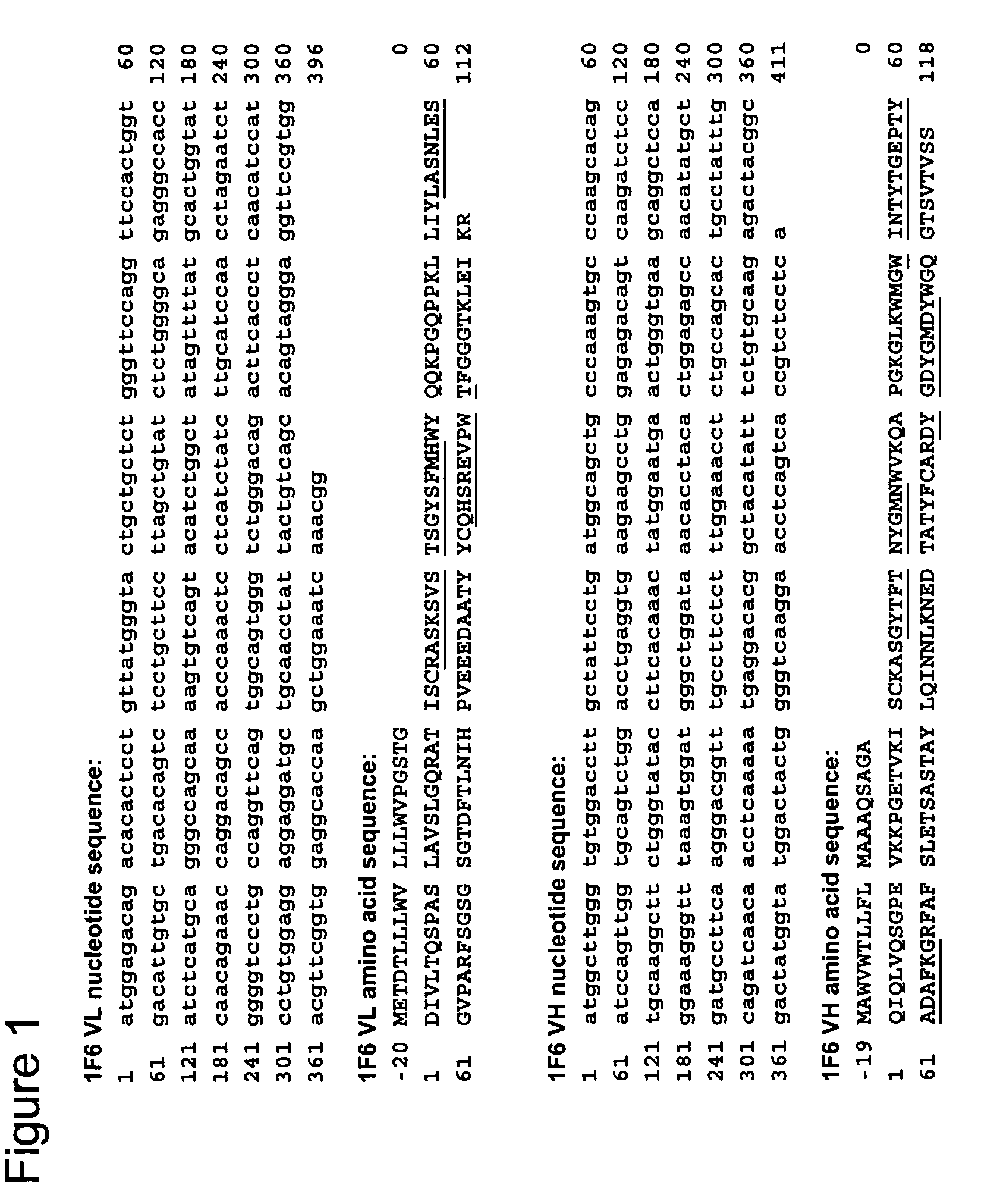 Anti-CD70 antibody and its use for the treatment and prevention of cancer and immune disorders