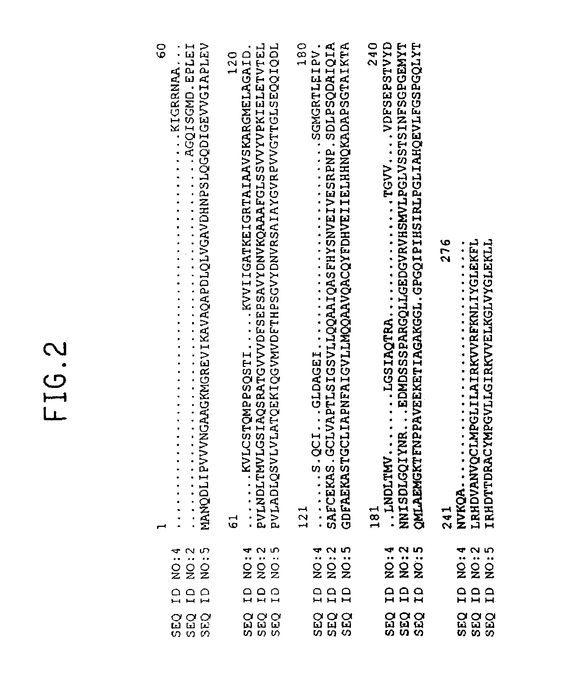 Plant amino acid biosynthetic enzymes