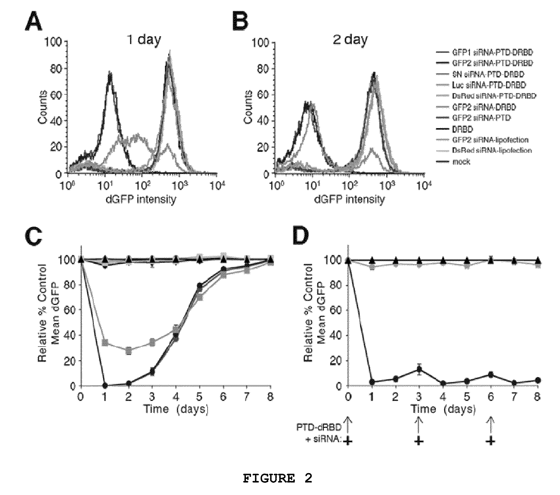 TRANSDUCIBLE DELIVERY OF siRNA BY dsRNA BINDING DOMAIN FUSIONS TO PTD/CPPS